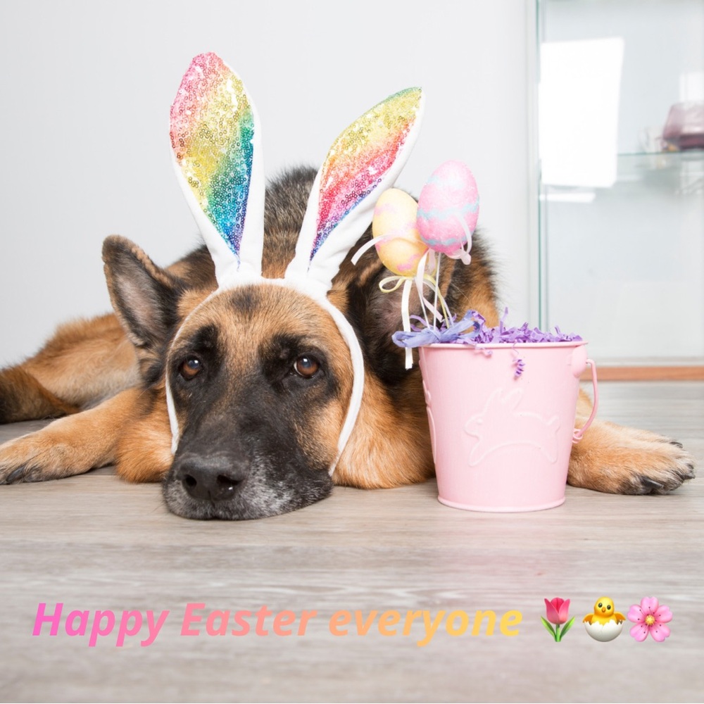 Easter 🐣🤩